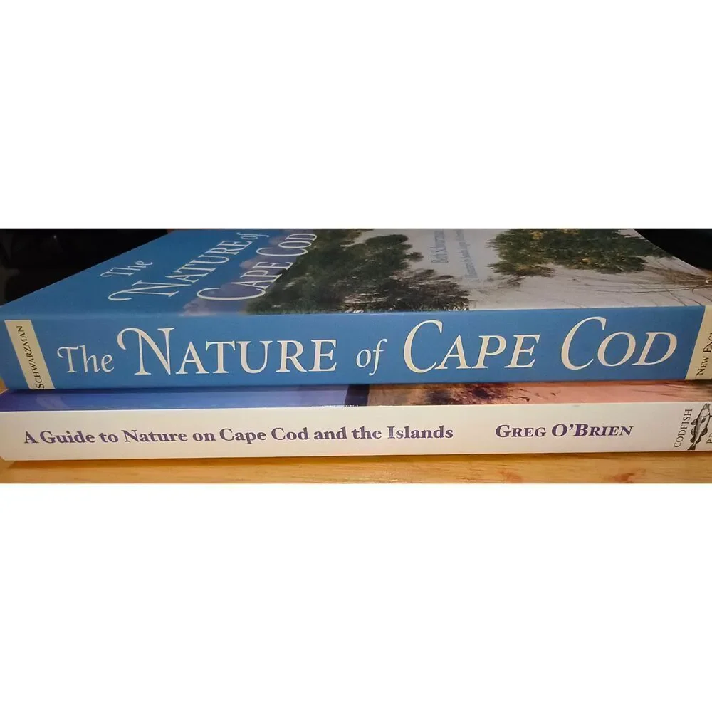 Codfish Press lot books